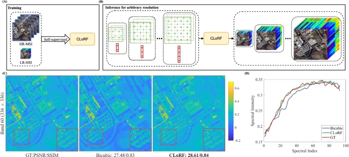 Hyperspectral and Multispectral Image Fusion with Arbitrary Resolution Through Self-Supervised Representations